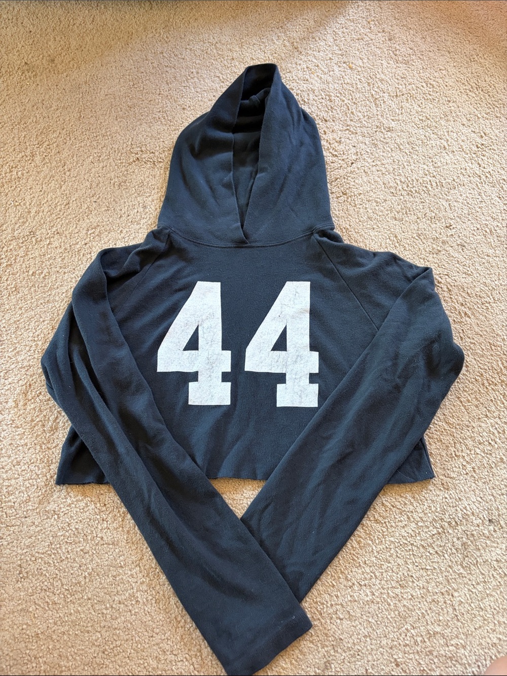 Brandy Melville Cropped Hoodie